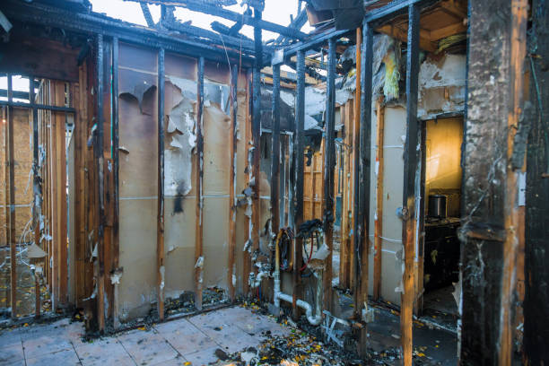 Professional Fire Damage Removal technician working in Lumberville, PA